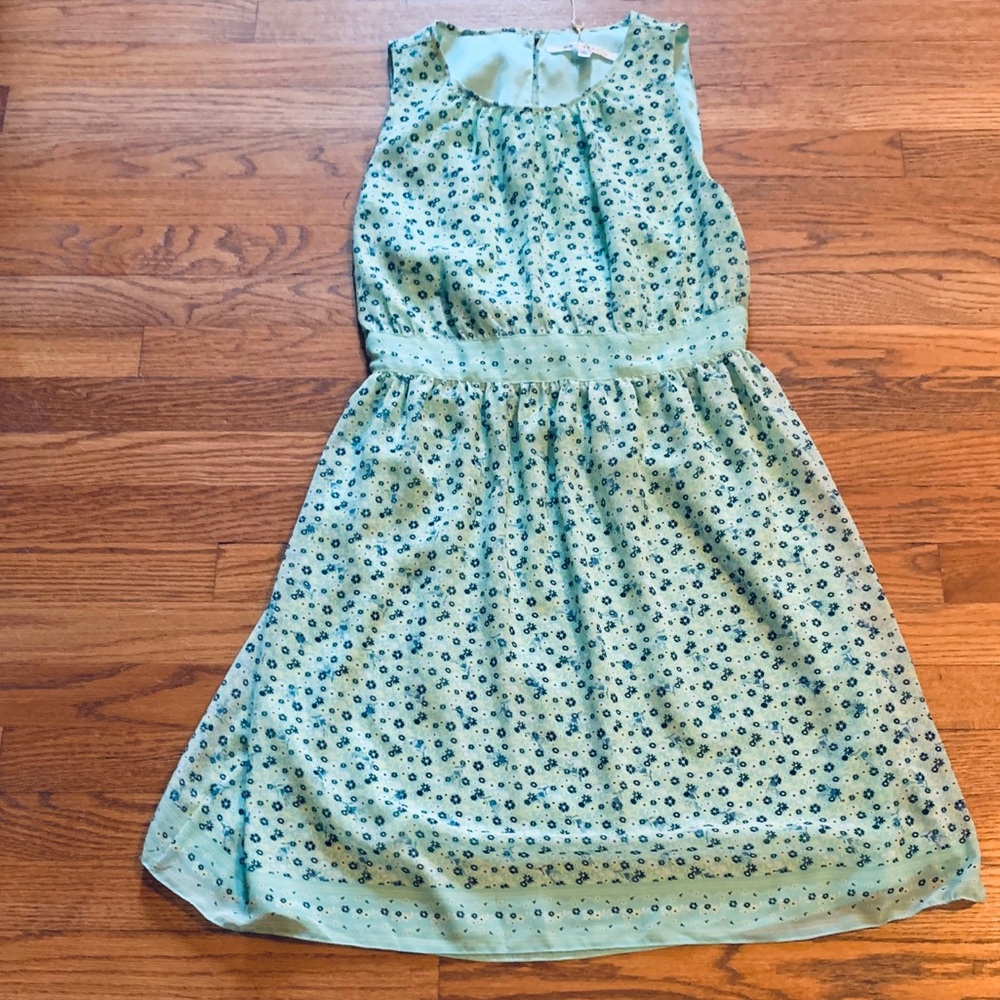 Max Studio Dress